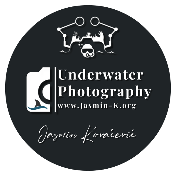 Jasmin-K Photographie